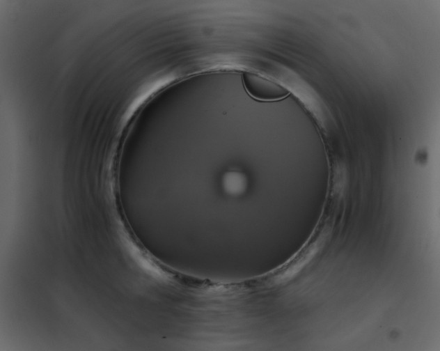 X0000102520806200808081426