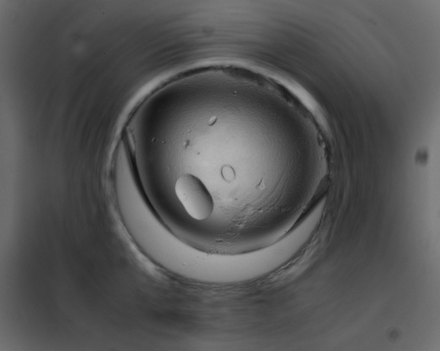 X0000102520807200808081426