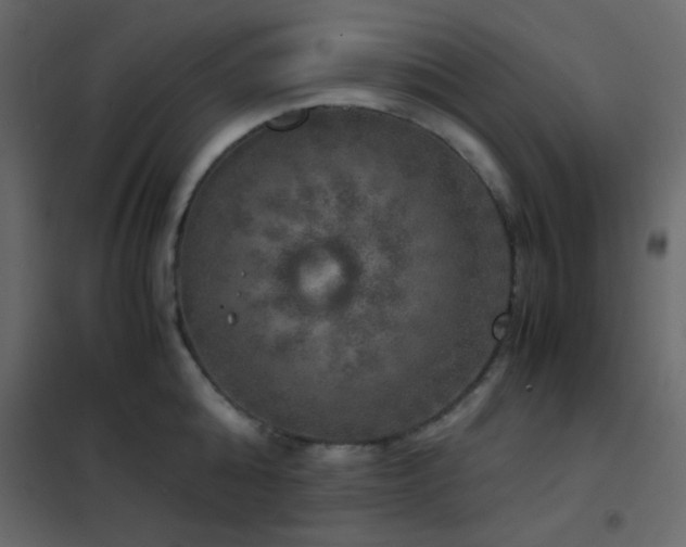 X0000102520808200808081426