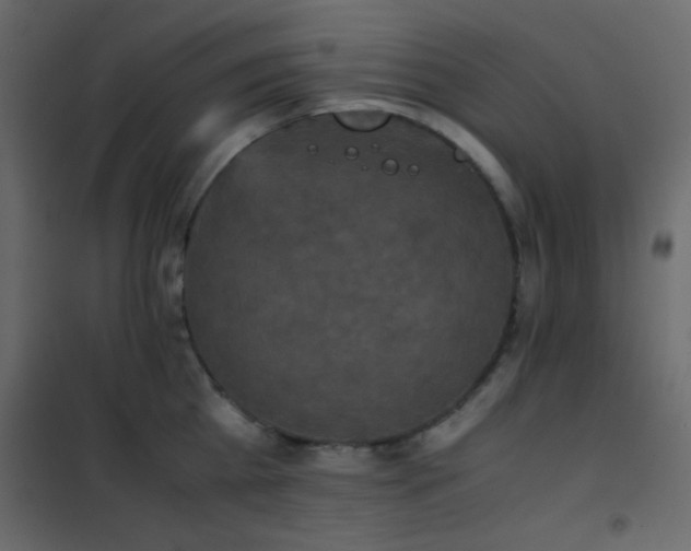 X0000102520809200808081426