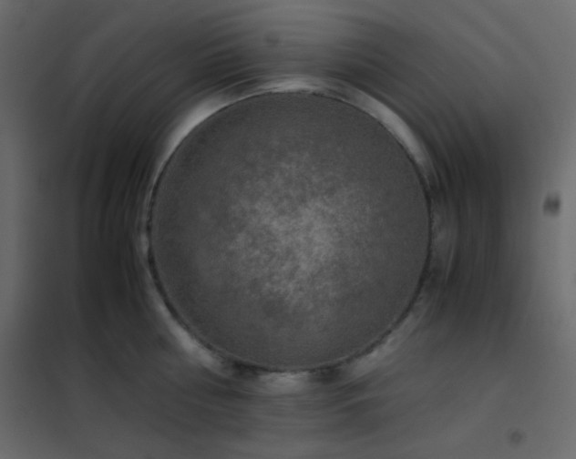 X0000102520810200808081426