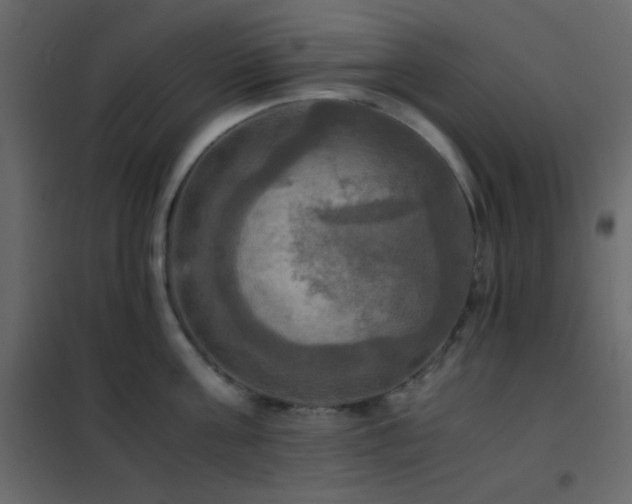 X0000102520811200808081426