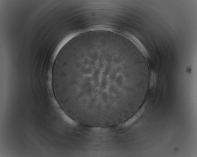 X0000102520812200808081426