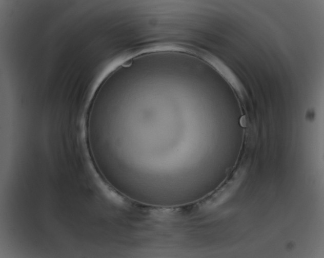 X0000102520813200808081426