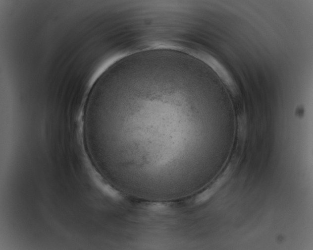 X0000102520814200808081426