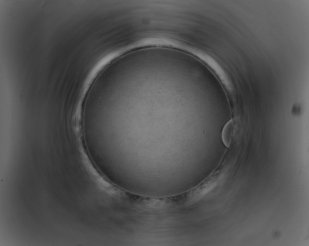 X0000102520815200808081426