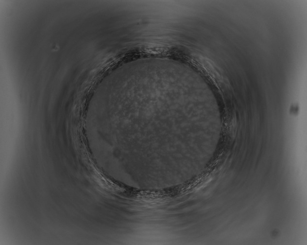 X0000102520817200808081425