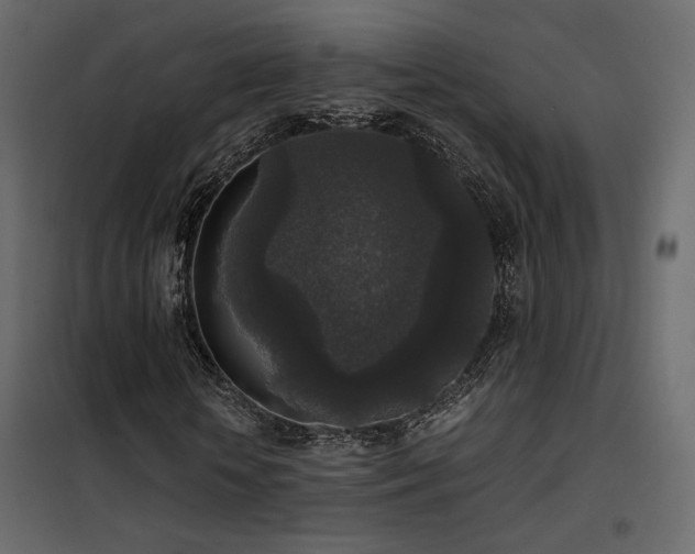 X0000102520818200808081425