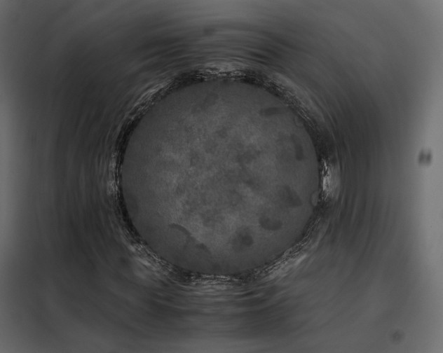 X0000102520819200808081425