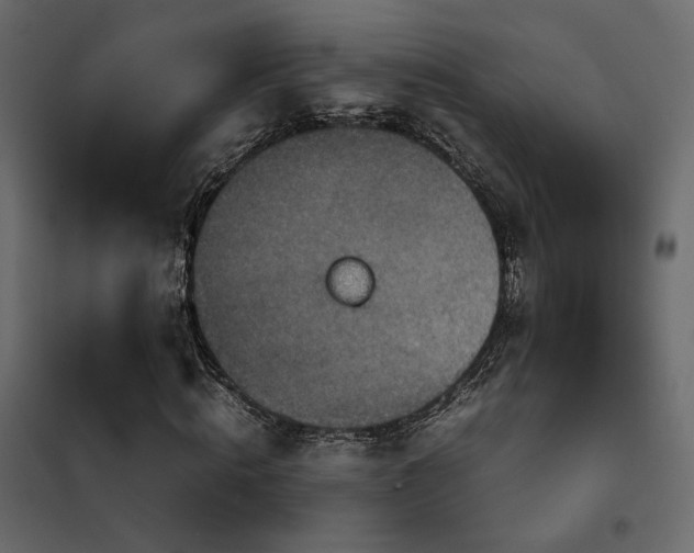 X0000102520820200808081425