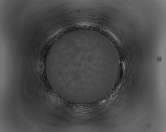 X0000102520821200808081425