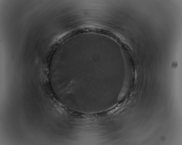 X0000102520822200808081425