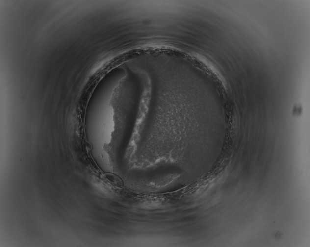 X0000102520823200808081425