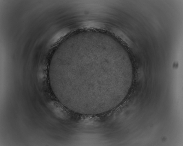 X0000102520824200808081425