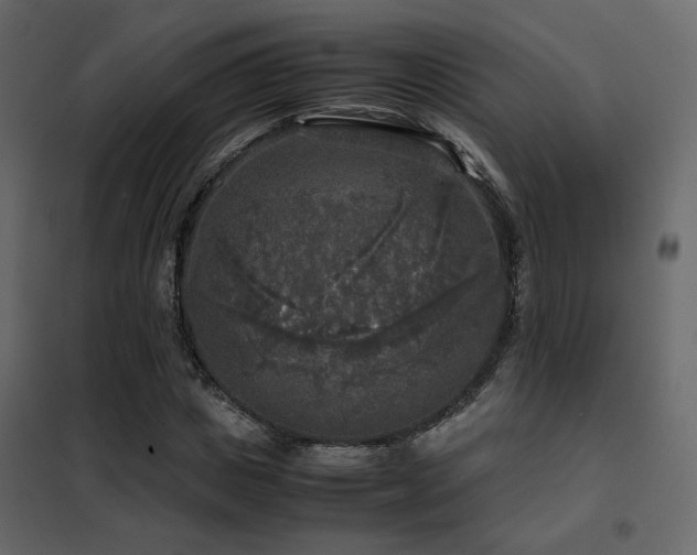 X0000102520825200808081425