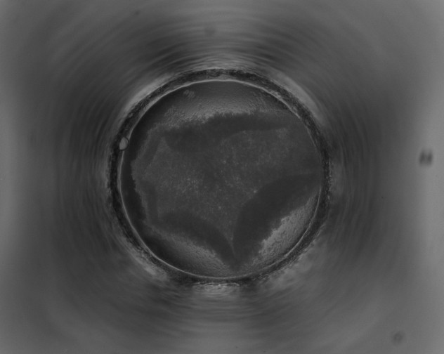 X0000102520826200808081425