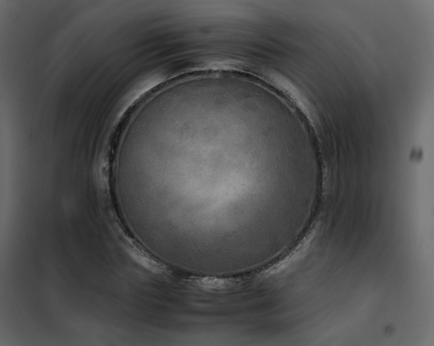 X0000102520827200808081425