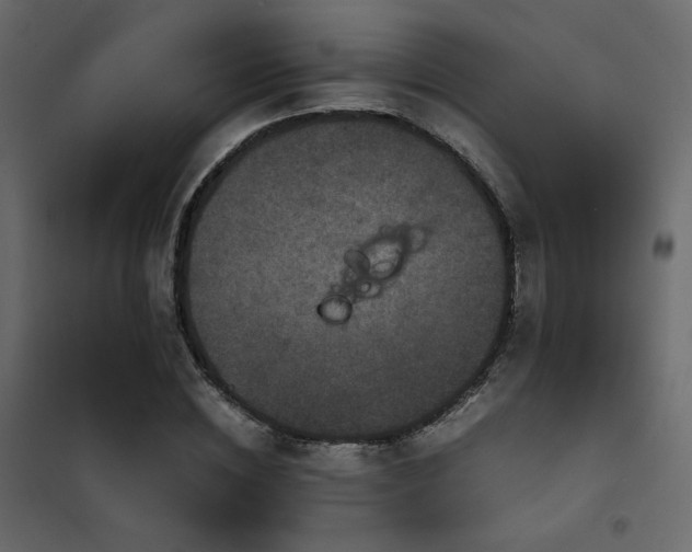 X0000102520828200808081425