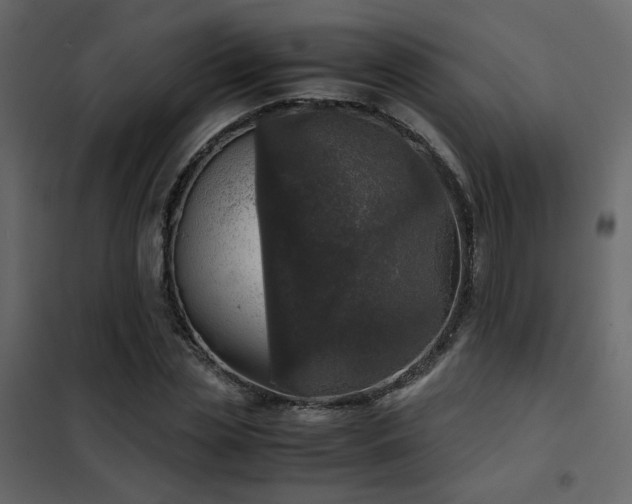 X0000102520829200808081425