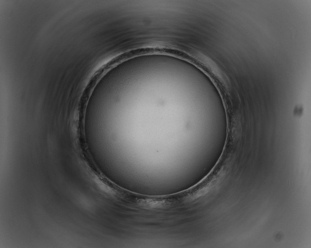 X0000102520831200808081425