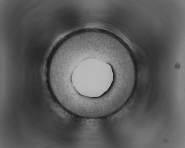 X0000102520832200808081425