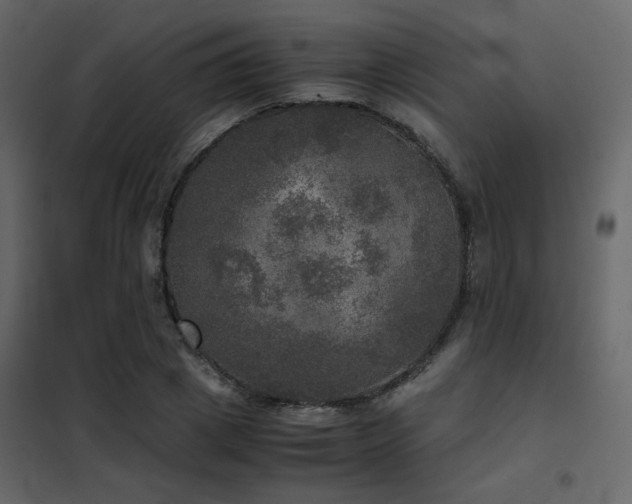 X0000102520833200808081425