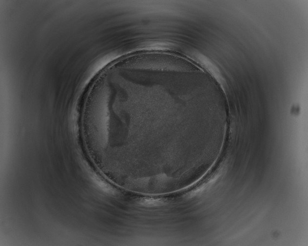 X0000102520835200808081425