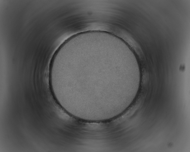 X0000102520836200808081426