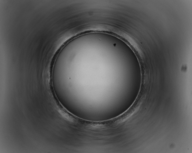 X0000102520837200808081426