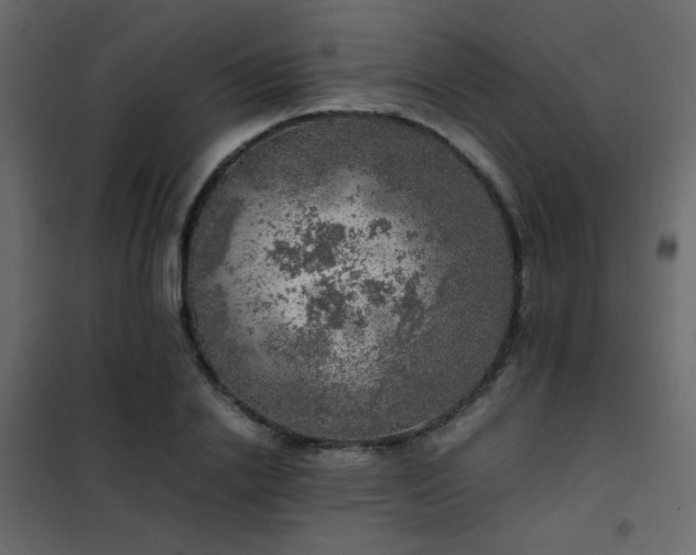 X0000102520838200808081426