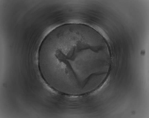 X0000102520839200808081426