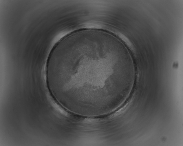 X0000102520840200808081426