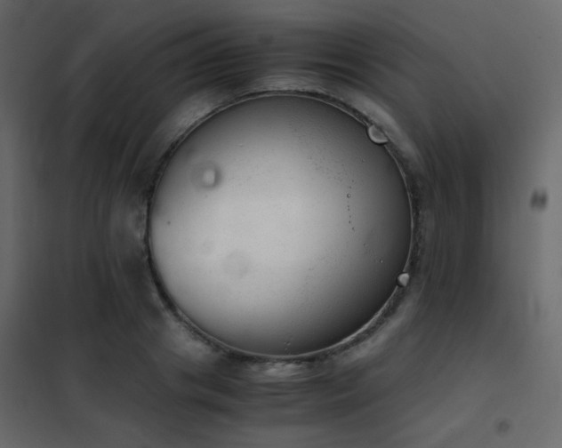 X0000102520841200808081426