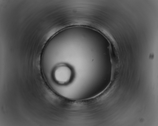 X0000102520842200808081426