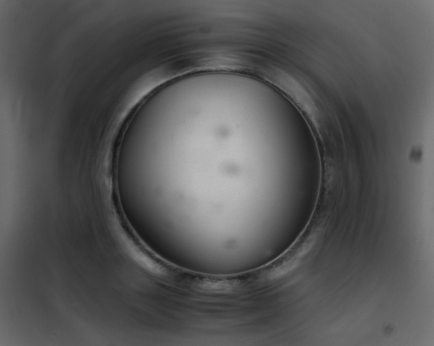 X0000102520843200808081426