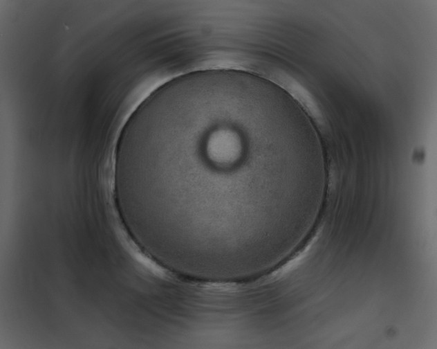 X0000102520844200808081426