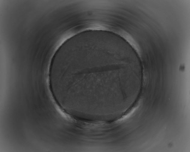 X0000102520845200808081426