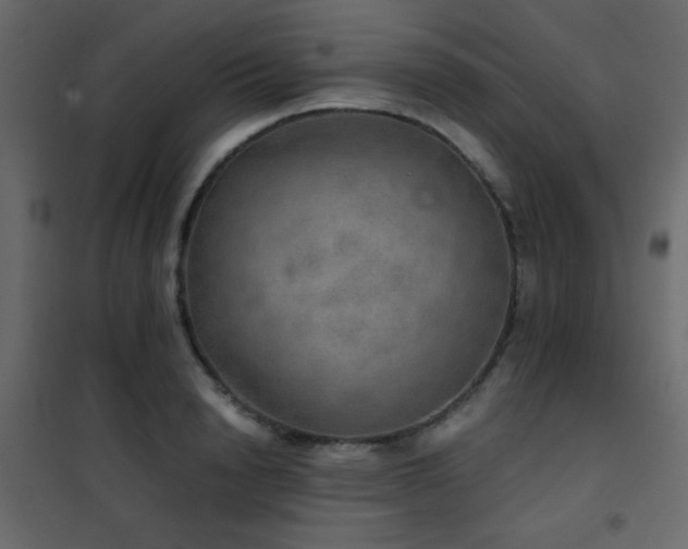 X0000102520846200808081426