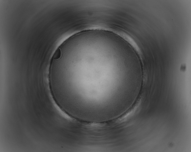 X0000102520847200808081426