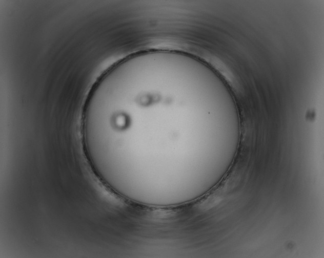 X0000102520848200808081426