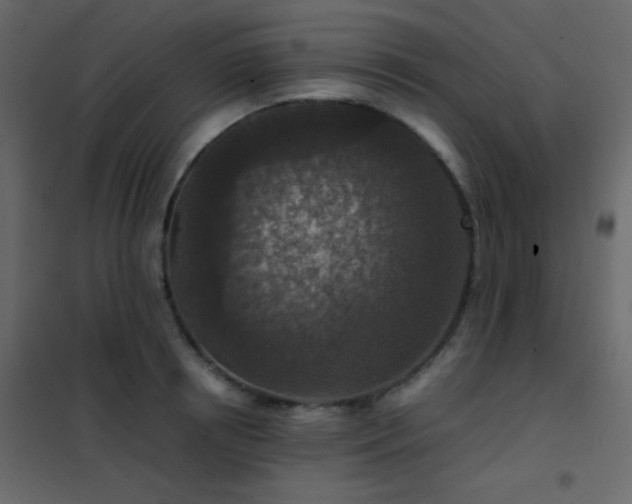 X0000102520850200808081426