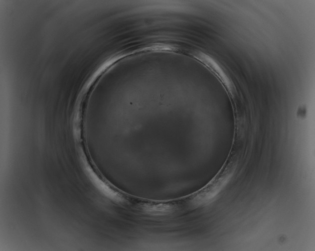 X0000102520851200808081426