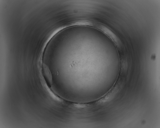 X0000102520852200808081426