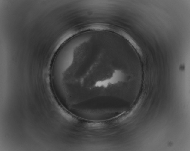 X0000102520853200808081426