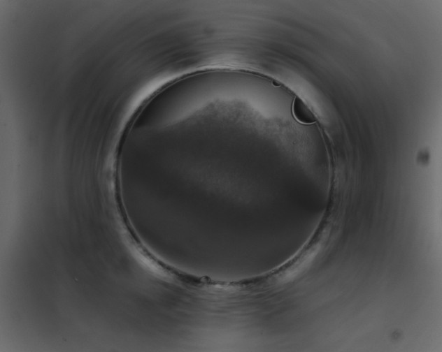 X0000102520854200808081426