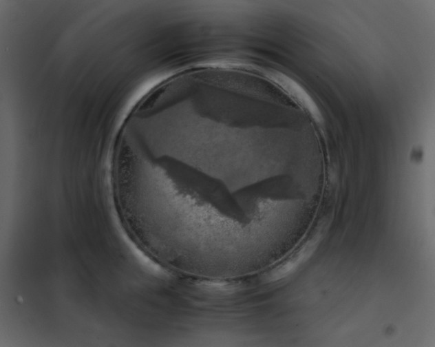 X0000102520855200808081426