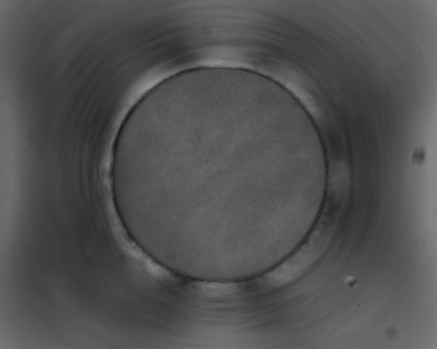 X0000102520856200808081426