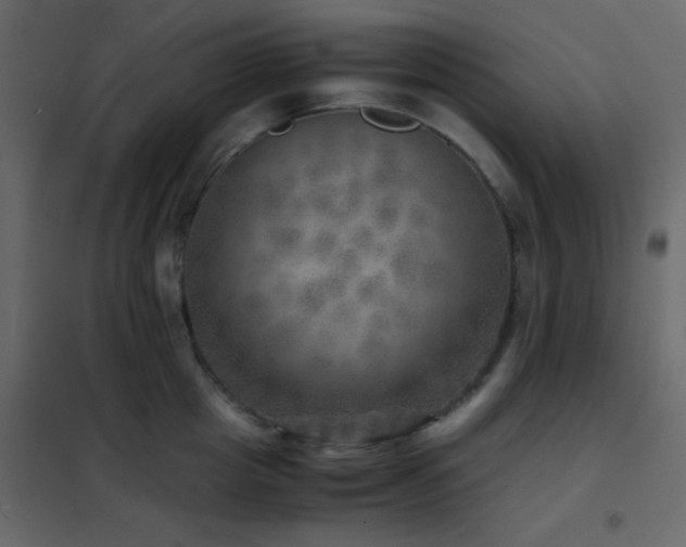 X0000102520857200808081426