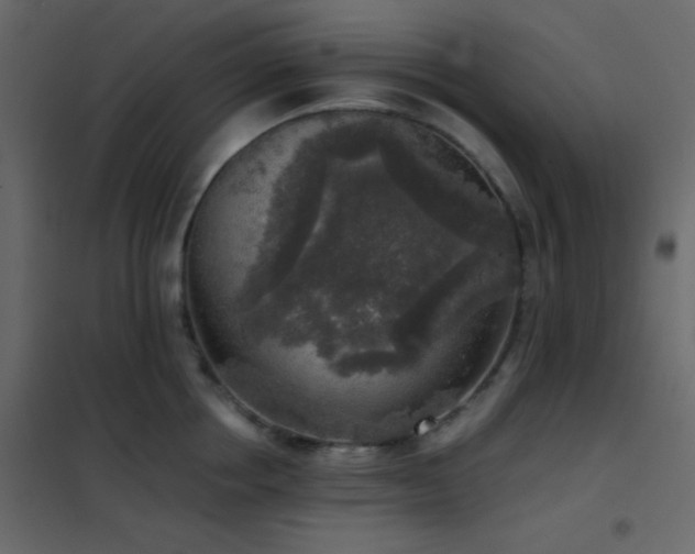 X0000102520858200808081426