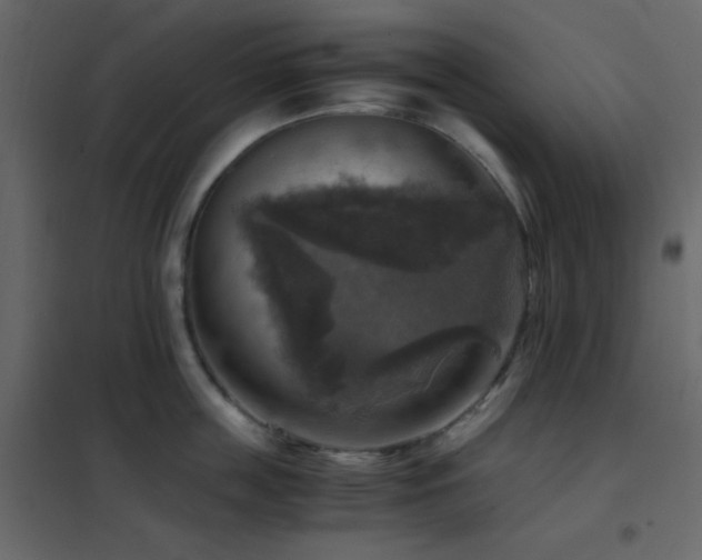 X0000102520859200808081426